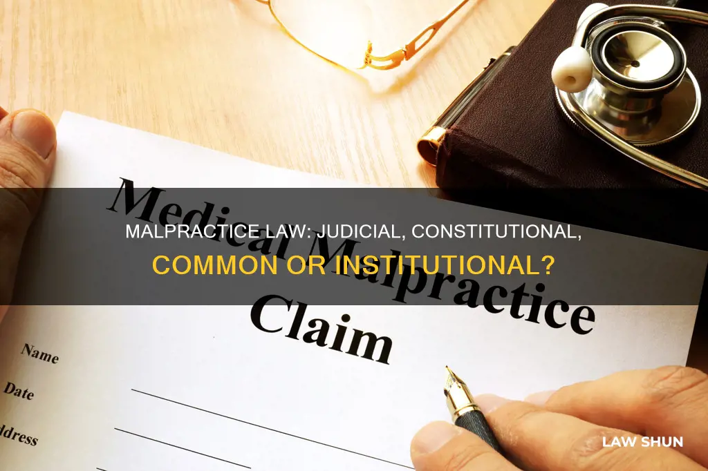 is malpractice judicial constitutional common or institutional law