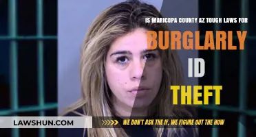 Maricopa County AZ: Are Burglary and ID Theft Laws Too Harsh?