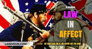 Is Martial Law in Effect? Understanding Current Legal Status and Implications