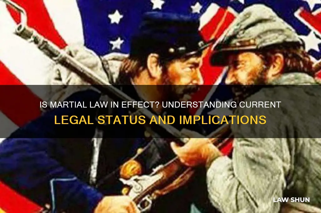 is marsal law in affect
