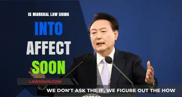 Is Martial Law Imminent? Analyzing Current Threats and Government Actions