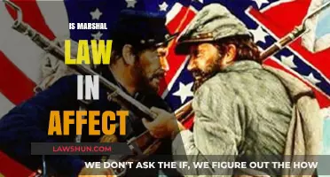 Is Martial Law in Effect? Understanding Current Legal Status and Implications