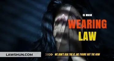 Is Mask Wearing Law Necessary? Exploring Legal Mandates and Public Health