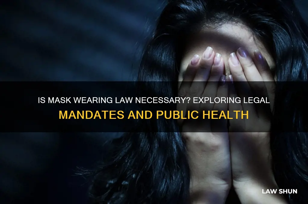 is mask wearing law