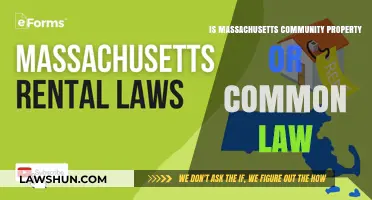 Understanding Massachusetts' Marital Property Laws: Community or Common?