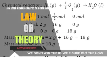 Matter's Everlasting Nature: Law or Theory?