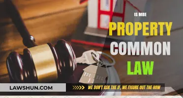 MBE Property Law: Common Law Basics
