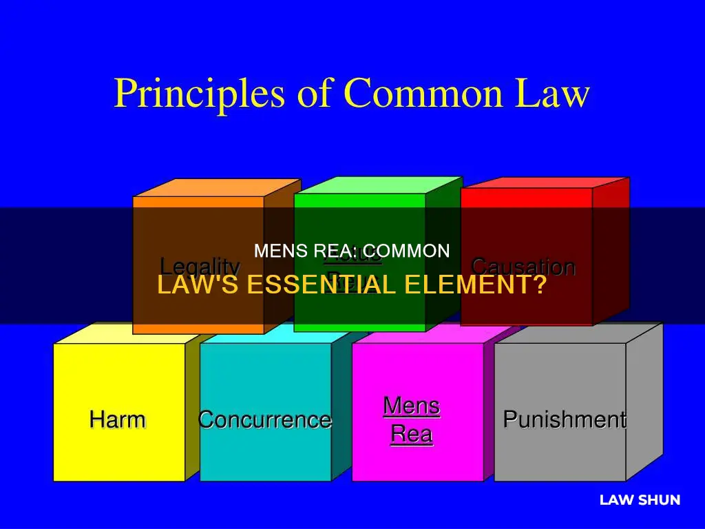 is mens rea required for common law