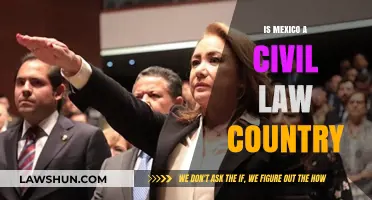 Is Mexico a Civil Law Country? Exploring Its Legal System