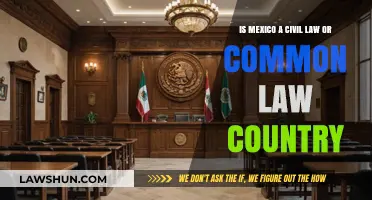 Civil Law vs Common Law: Mexico's Legal System