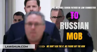 Michael Cohen's Father-in-Law: Russian Mob Ties Investigated