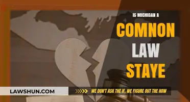 Is Michigan a Common Law State? Understanding Its Legal Framework