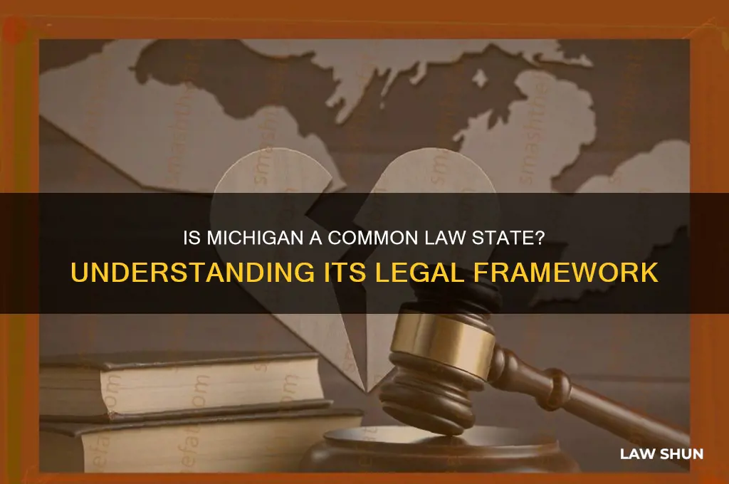 is michigan a comnon law staye