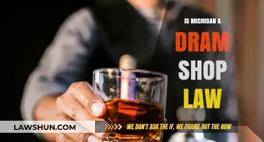 Understanding Michigan's Dram Shop Law: Liability and Legal Implications
