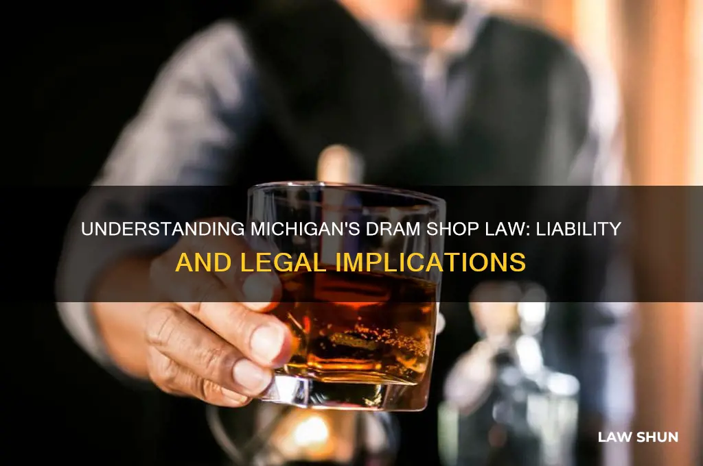 is michigan a dram shop law