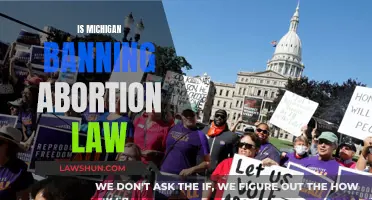 Michigan's Abortion Ban: What's Next for Reproductive Rights?