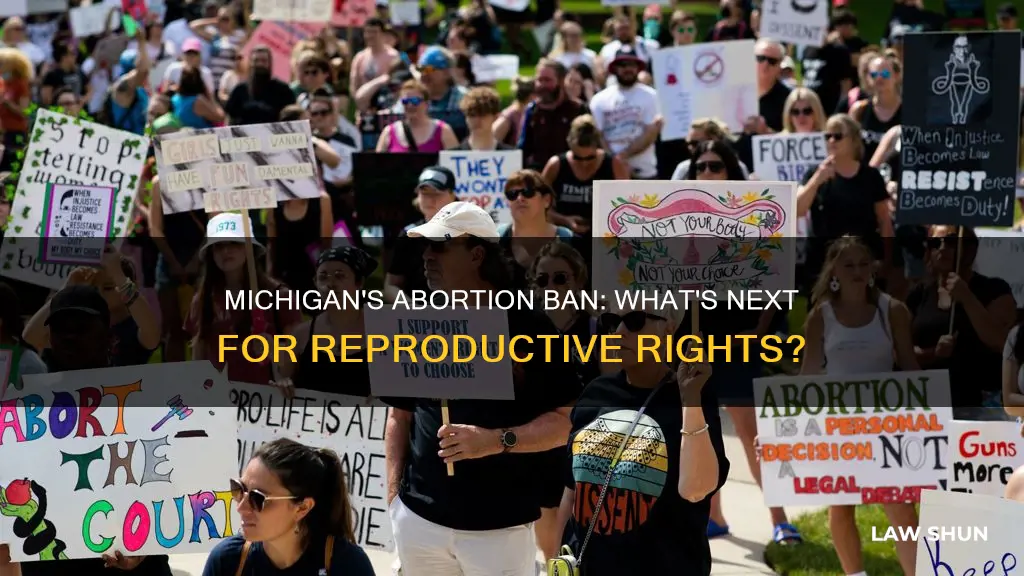 is michigan banning abortion law