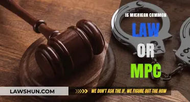 Michigan's Criminal Law: Common Law or MPC?