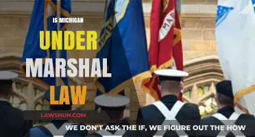 Is Michigan Under Martial Law? Facts and Misconceptions Explained