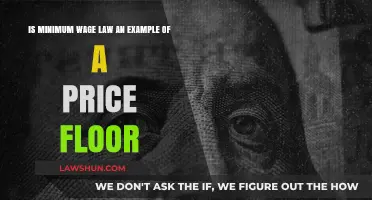Is Minimum Wage a Price Floor? Understanding Labor Economics