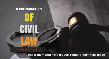 Is a Misdemeanor Civil or Criminal? Understanding Legal Classifications