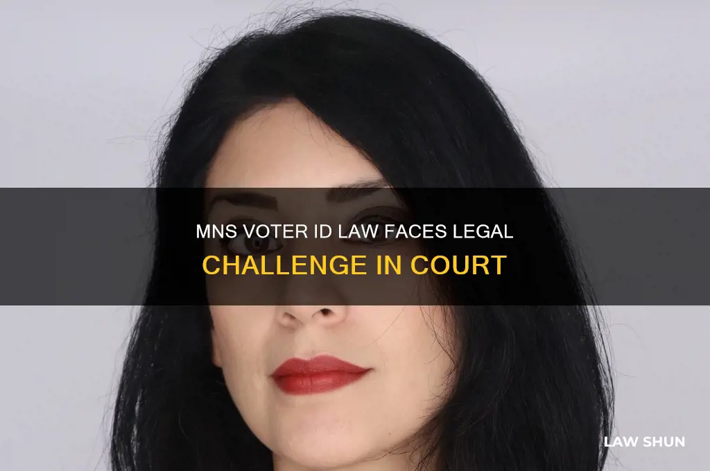 is mns voter id law being challenged in court