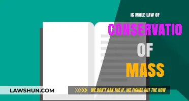 Mole Concept and the Law of Conservation of Mass Explained