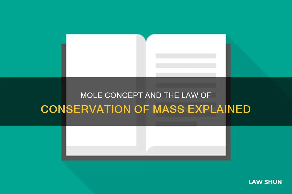 is mole law of conservation of mass