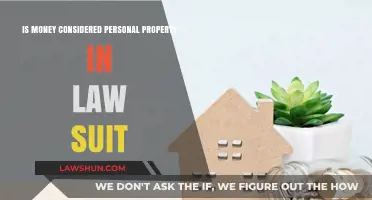 Is Money Personal Property in Lawsuits? Legal Insights Explained