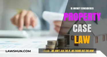 Case Law: Money as Property?