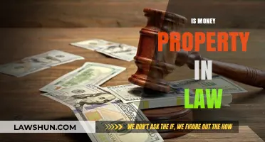 Is Money Considered Property Under Legal Definitions and Implications?