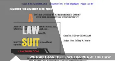 Is a Motion for Summary Judgment Considered a Lawsuit? Explained