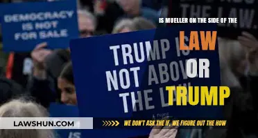 Mueller's Allegiance: Upholding the Law or Siding with Trump?