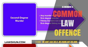 Murder Mystery: Common Law Offence?