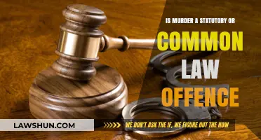 Murder: Common Law or Statute?