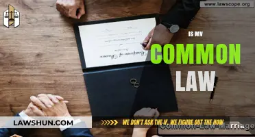MV and Common Law: What's the Connection?