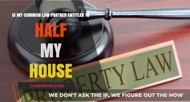 Common-Law Partners and Property Division: Who Gets the House?