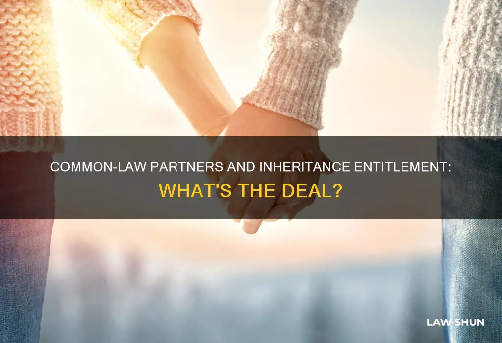 is my common law partner entitled to my inheritance