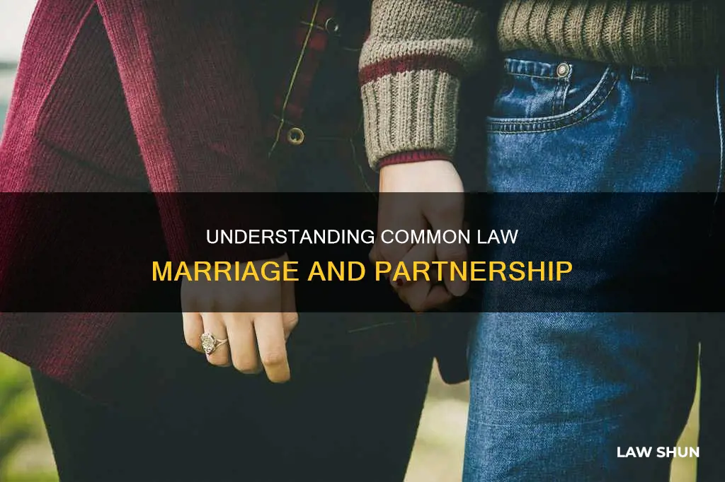 is my girlfriend a common law partner