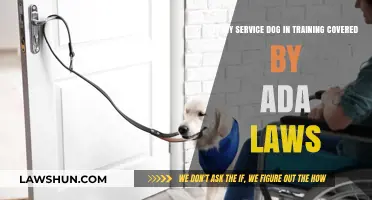 Service Dog in Training: ADA Law Coverage Explained
