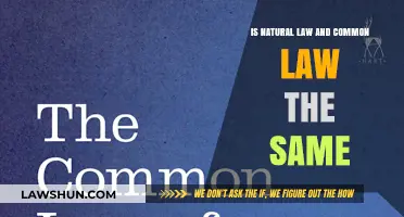 Natural Law and Common Law: What's the Difference?