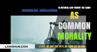 Natural Law Theory: Distinct from Common Morality?