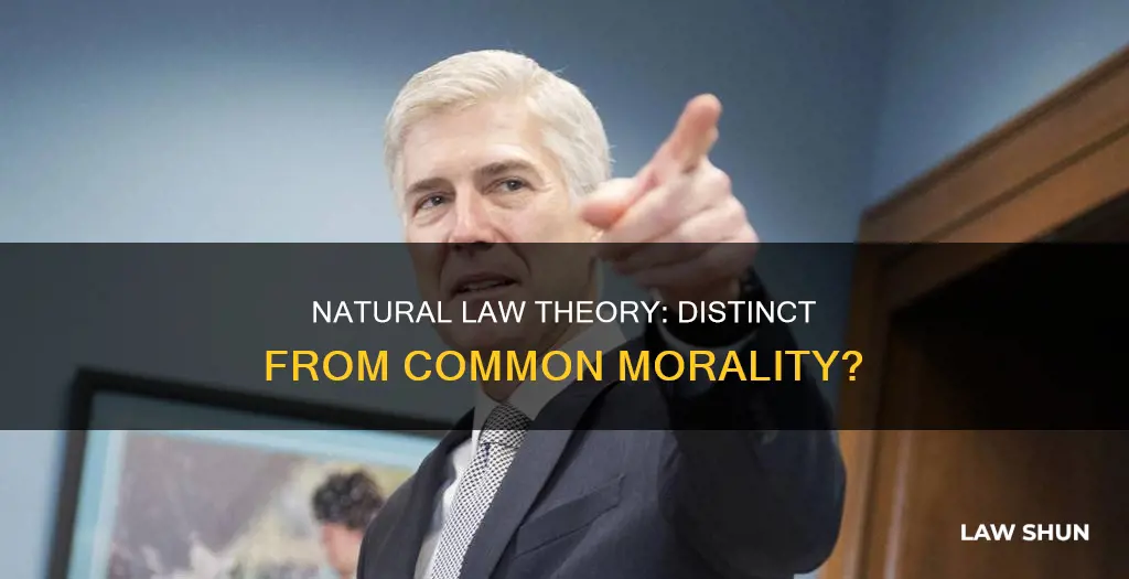 is natural law theory the same as common morality
