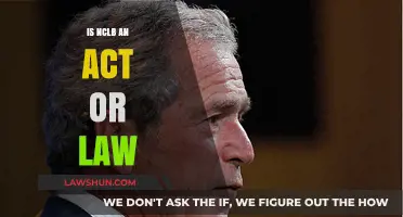 Understanding No Child Left Behind: Act, Law, or Both?