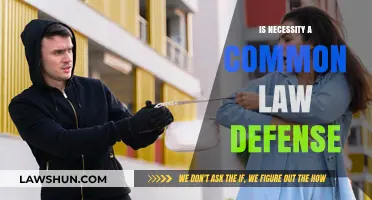 Necessity Defense: Common Law's Exception