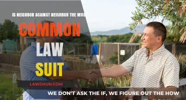 Neighbor Disputes: The Most Common Lawsuits?