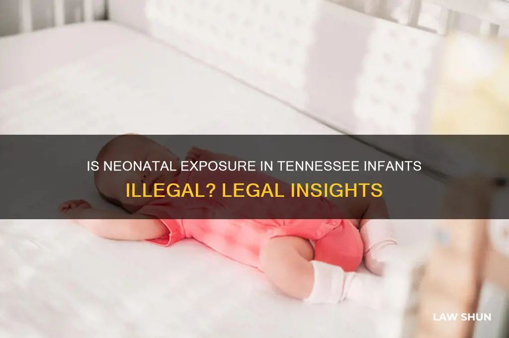 is neonatal exposure in infants against the law in tn