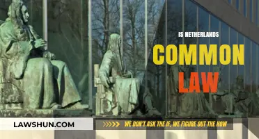 Common Law in the Netherlands: What's the Deal?