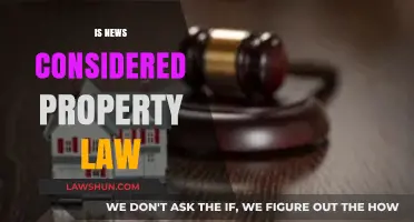 Is News Considered Property? Exploring Legal Boundaries in Media Ownership