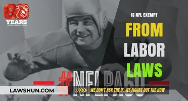 Is the NFL Above Labor Laws? Exploring Legal Exemptions and Implications